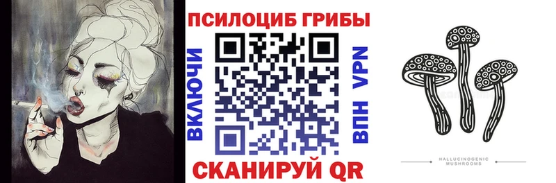 что такое   Жуковка  Галлюциногенные грибы MAGIC MUSHROOMS 